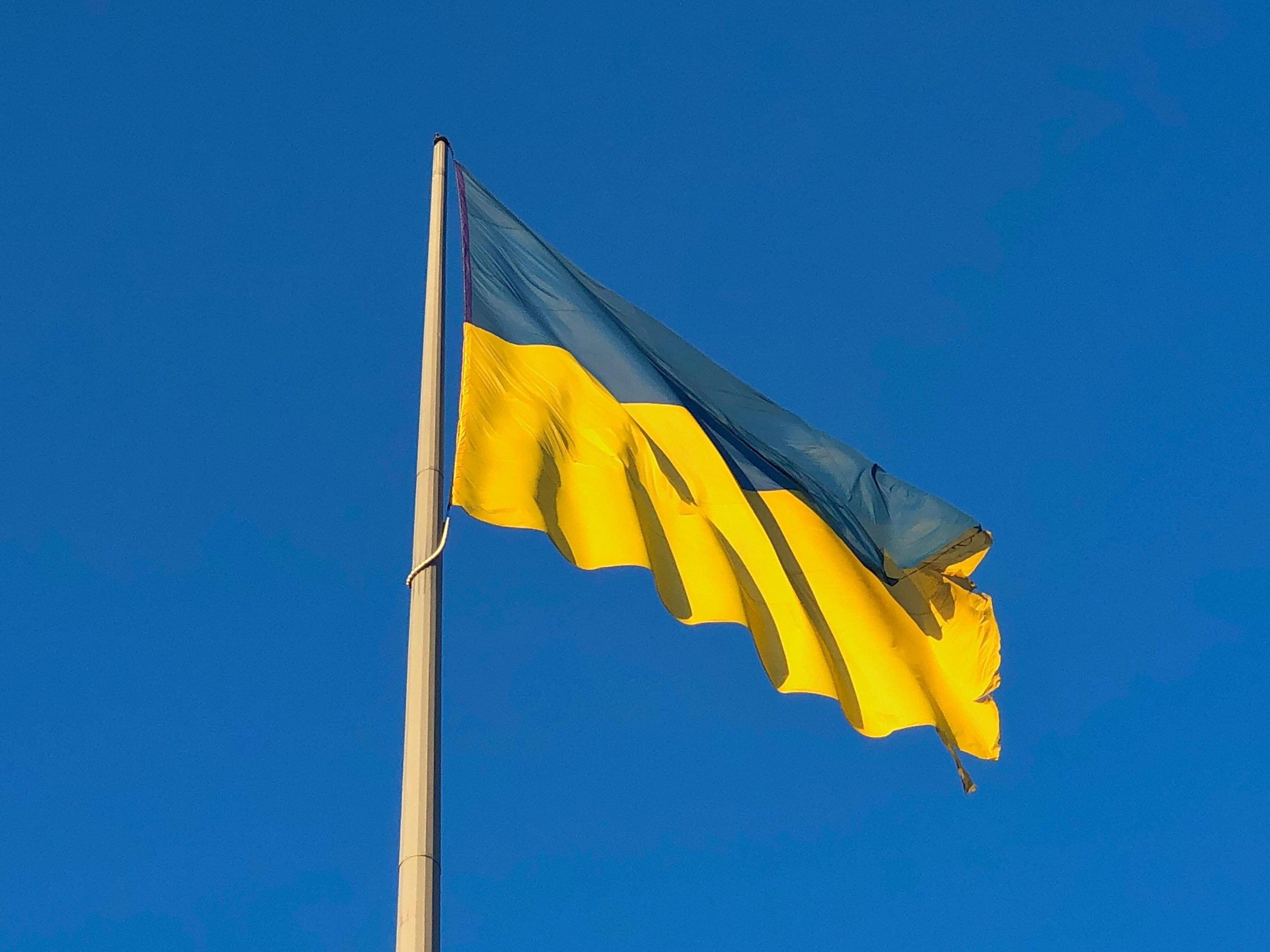 Vibrant Ukrainian flag waving under a clear blue sky, symbolizing national pride.